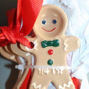 Holiday Time 2025 Christmas Gingerbread Measuring Spoon Set nwt